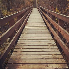 Obraz premium Bridge walkway in woods