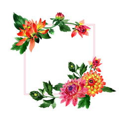 Wildflower dahlia flower frame in a watercolor style isolated.