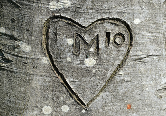 Heart with the letter M "in power of 10" cut in the bark of a tree, or was there an affair with M in 2010?
