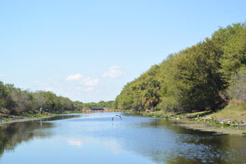 Obraz premium Gorgeous view of swamp in Florida