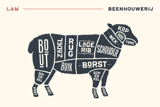 Meat cuts. Poster Butcher diagram and scheme - Lamb. Vintage hand-drawn black and white typographic with text on Dutch. Diagrams for butcher shop, design for restaurant or cafe. Vector Illustration