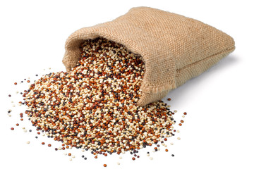 raw quinoa in the sack, isolated on white background, (large depth of field, taken with tilt shift lens)
