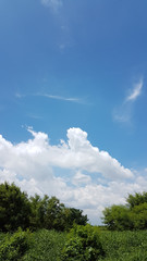 The white clouds in fresh blue sky