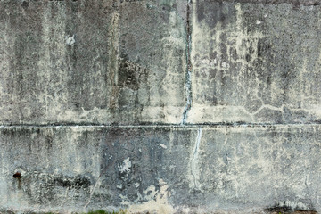 Okinawa Cement Texture
