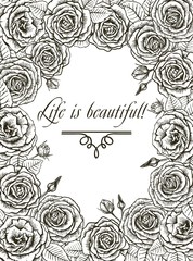 roses. greeting card