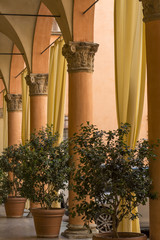 Several orange columns with yellow curtains and plants in pots in the sunlight in Bologna (Italy)