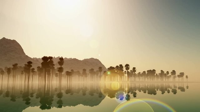 Tropical jungle background with palm tree silhouettes on island at sunset