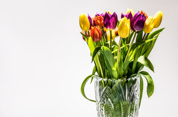 Tulip flowers in a glass pot