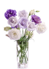 bunch of violet, white and violet eustoma flowers in glass vase isolated on white