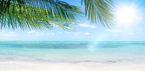 Badezimmer Foto Rückwand Urlaub, Tourismus, Glück, Freude, Entspannung, Auszeit, Meditation: Traumurlaub an einem einsamen Strand in der Karibik :) © doris oberfrank-list