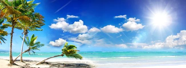 Foto auf Acrylglas Karibik Urlaub, Tourismus, Glück, Freude, Entspannung, Auszeit, Meditation: Traumurlaub an einem einsamen Strand in der Karibik :)