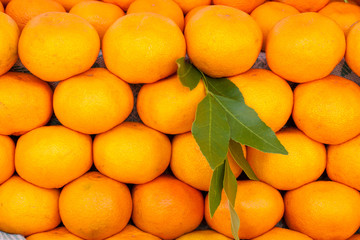 Background of oranges