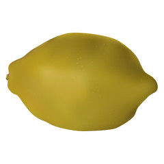 Element lemon on an isolated background. Vector illustration.