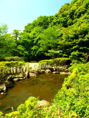 池と森風景