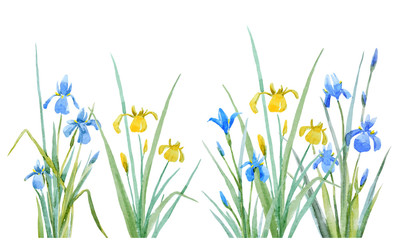 Watercolor iris flowers vector composition