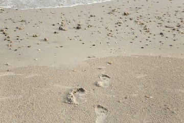 Footprints on the beach Beautiful seaside background.