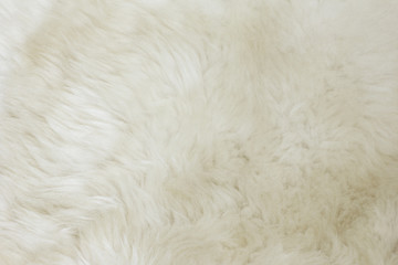 Fur Texture./Fur Texture 