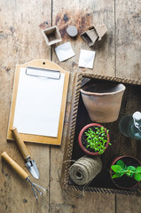 Sprouts in a pot, seeds and garden tools on a wooden background