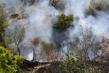 INCENDIO ESTIVO.MONTAGNA,SUD ITALIA