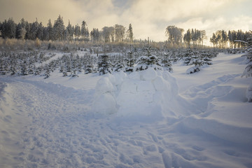 Iglu am Waldrand