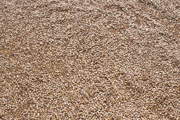 Buckwheat brown background