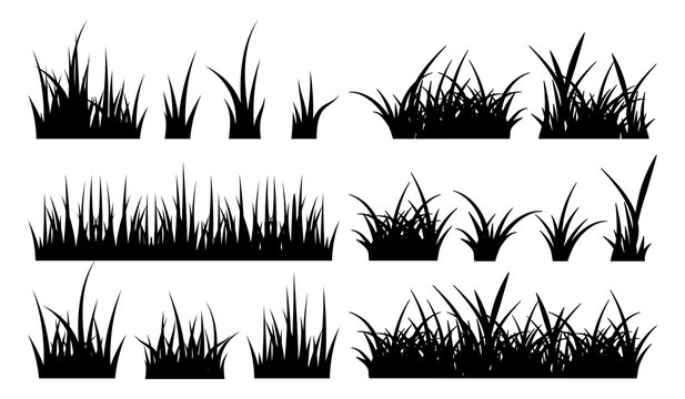 Monochrome illustration of grass. Vector silhouettes