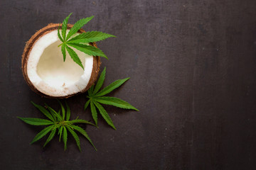 Obraz na płótnie Canvas coconut and cannabis leaves with black copy space