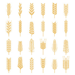 Agricultural vector icons set. Nature pictures of wheat