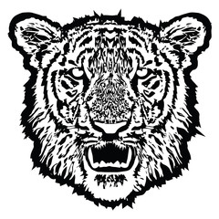 Tiger head with fangs. Black And White, isolated, vector