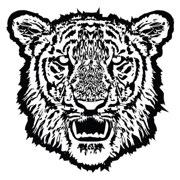 Tiger head with fangs. Black And White, isolated, vector
