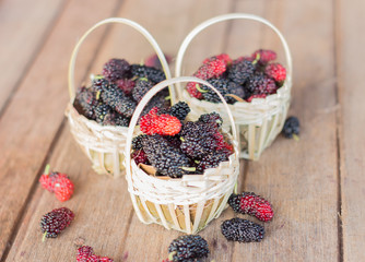 Mulberry baskets