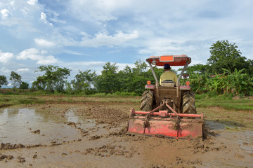 Obraz premium Agriculture workers with tractors to prepare crops, rice farming.