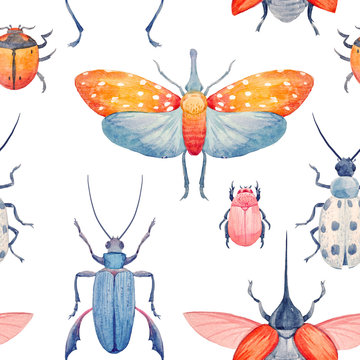 Watercolor beetle pattern