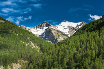 Obraz premium Snowy peak and forest in Alps,France