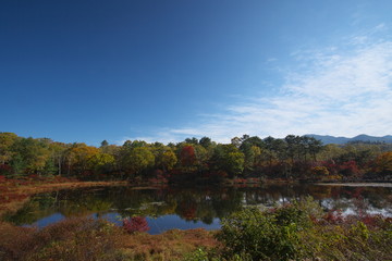 紅葉に囲まれた沼