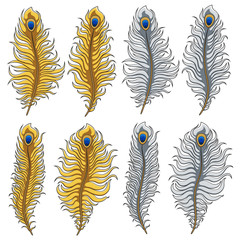 Set of vector images of gold and silver peacock feathers. Isolated objects on white background.