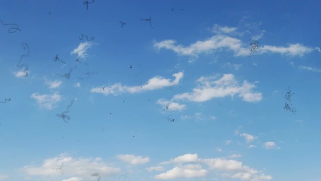 Myodesopsia (Eye Floaters) Looking at the Sky