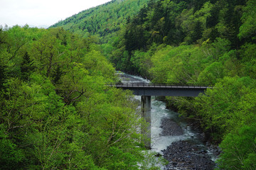 Fototapeta premium Bridge across the river