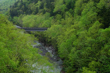 Fototapeta premium Bridge across the river