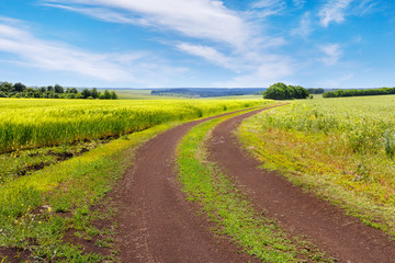 country road in wheat field