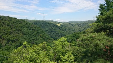 新緑の山と空