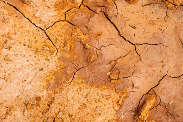 Dry ground cracked.