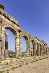 Archaeological Site of Volubilis, ancient Roman empire city, Unesco World Heritage Site