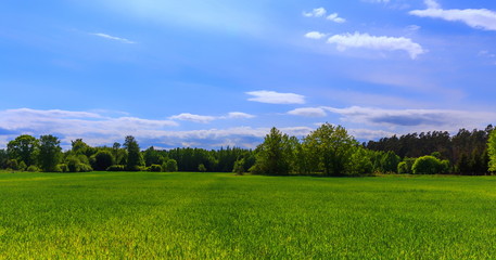 Green field and blue sky