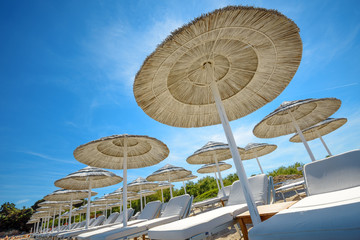 sun umbrellas on the beach