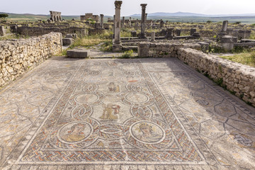 Archaeological Site of Volubilis, ancient Roman empire city, Unesco World Heritage Site