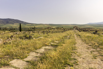 Fototapeta na wymiar Archaeological Site of Volubilis, ancient Roman empire city, Unesco World Heritage Site