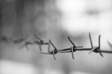 Barbed wire with blur and focus