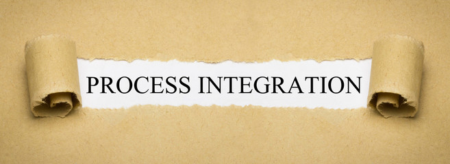 Process Integration