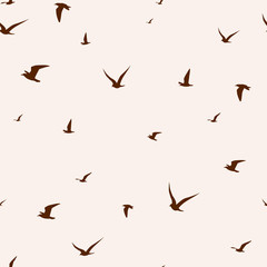 Seagull